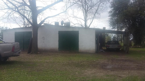 Venta Campo San Andrés De Giles