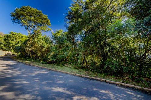 Terreno/lote Residencial Residencial Para Venda, Teresópolis, Porto Alegre - Te0096. - Te0096-inc