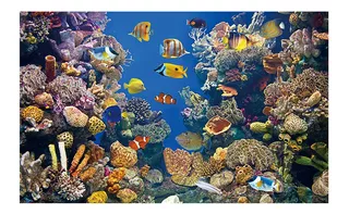 Fondo de pecera Efecto 3D póster Adhesivo de Seaworld para decoración de pecera 122 x 61 cm Meiyya Disfrute de Verano Fondo de Acuario 