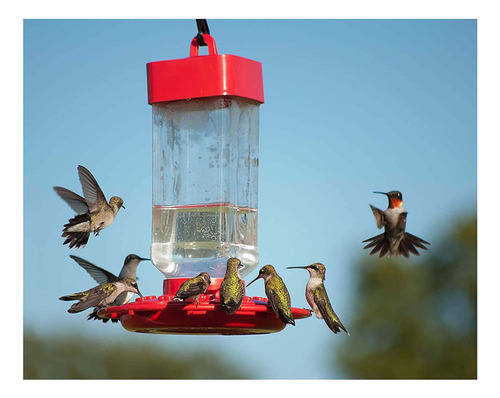 Hummingbird Electronectar Wild Bird Food, Ready To Use, Cci