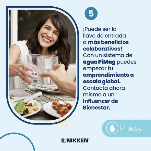 Sistema De Agua Nikken Pimag Waterfall Color Gris