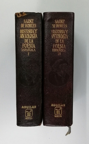 Historia Y Antología D La Poesía Española En Lengua Castella