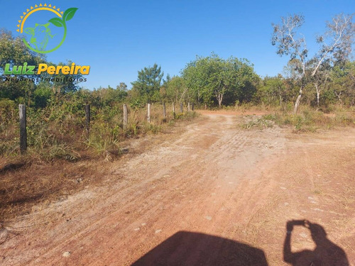 Imagem 12 de 13 de Fazenda À Venda No Vale Do Araguaia - 711,48 Hectares (dupla Aptidão) - 1947