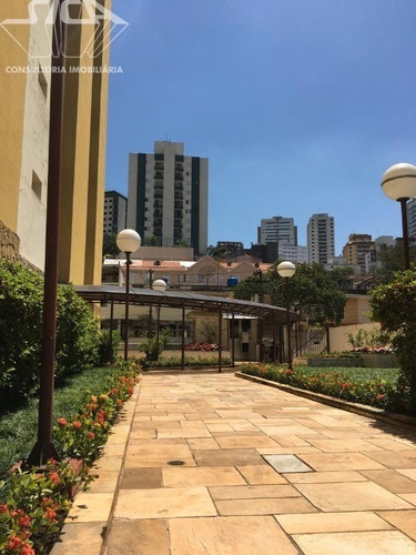 Imagem 25 de 30 de Apartamento - Ap00916 - 34885928