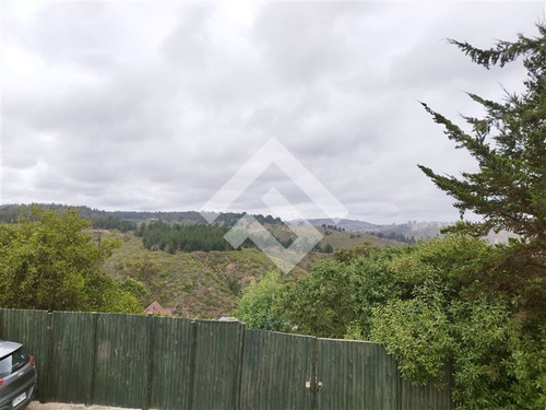 Casa En Venta Los Almendros, Reñaca, 5d Y 4b, Viña Del Mar