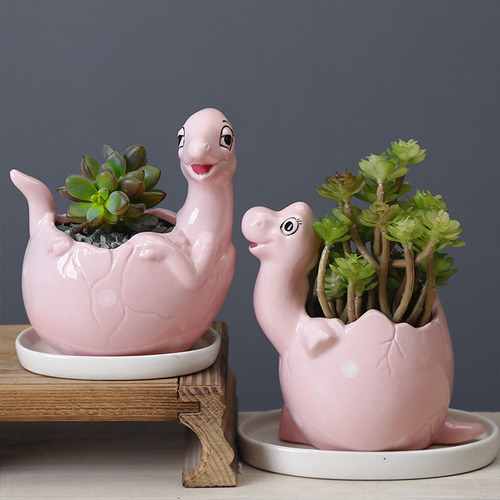 Maceta De Cerámica Con Forma De Dinosaurio Para Plantas Sucu