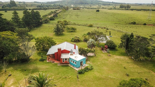 Chacra En La Pataia, Punta Ballena
