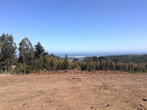 Terreno Punta De Lobos