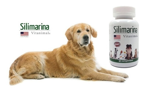 Silimarina 90 Comprimidos 120mg
