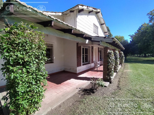 Imagen 4 de 25 de Campo De 705 Has En Venta En Necochea - Mixto Con Casco - 70 % Agricola.