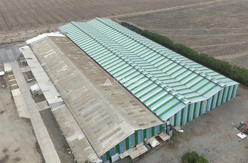 Industrial En Arriendo En Talagante