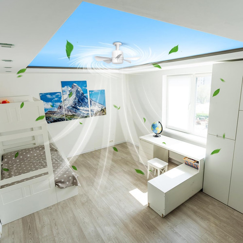 Ventilador De Techo De 18 Pulgadas Con Luz, Base E26 Atornil