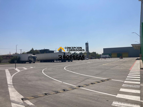 Arriendo Bodega De 1616 M2 En Pi Lo Boza.