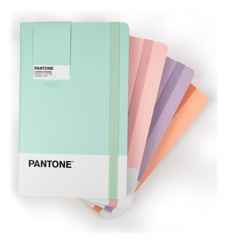 Libreta Pantone Grande Con Elástico Vertical Lineada