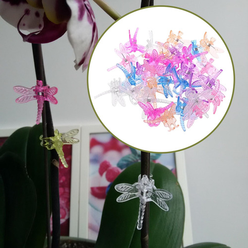 Clips De Soporte Para Plantas De Jardín, 30 Uds., Clips De