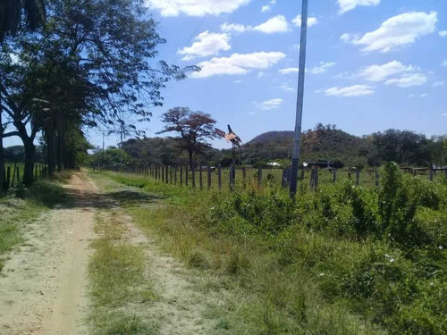 Imagen 18 de 30 de Finca De 440 Has En Cojedes-acarigua. 3 Pozos De Agua, Electricidad.
