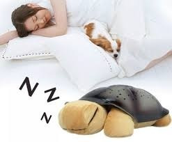 Lampara Tortuga Musical Peluche
