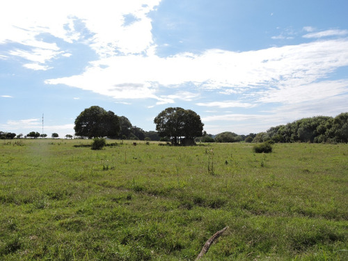 Imagen 5 de 8 de Chacra En Venta En La Zona De Mas Desarrollo De San Pedro