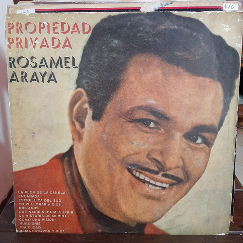 Vinilo Rosamel Araya Propiedad Privada M2