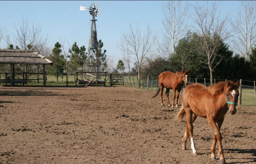 Imagen 7 de 9 de Lote En Venta De 11.750 Mts2 En El Barrio La Ranita Club De Campo.