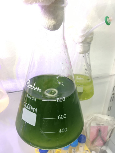 Kit Microalgas Spirulina+chlorella-liquida 250ml