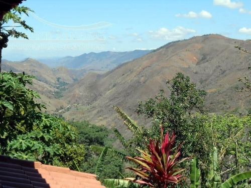 Imagem 5 de 15 de Casa Em Fragoso - Miguel Pereira - 1147