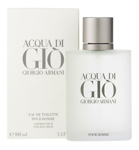 Perfume Acqua Di Gio Homme Edt 100 Ml
