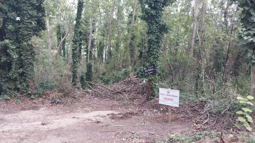 Imagen 1 de 4 de Lote Con Buena Ubicación, Y Abundante Forestación En Mar Azul.