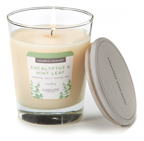 Vela 9 Oz Essential Elements Eucalyptus & Mint Leaf Candle L