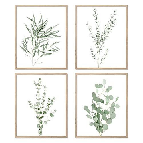 Juego De 4 Impresiones De Arte De Plantas De Eucalipto ...