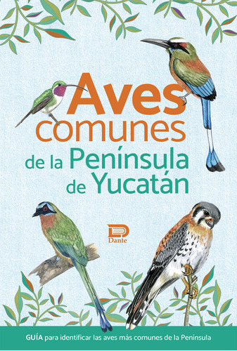 Aves Comunes De La Península De Yucatán [paperback] Ed 811r7