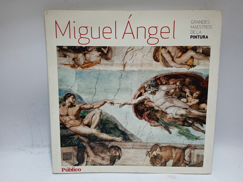 Miguel Ángel - El Divino - Maestros De La Pintura - Público