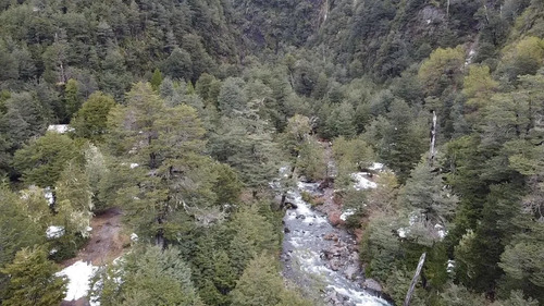 Venta Parcela Para Crear Proyecto Turistico Melipeuco