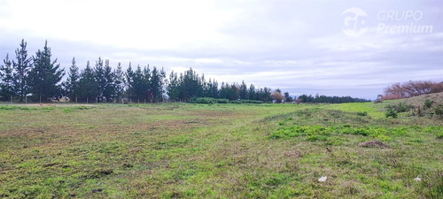 Sitios En Venta En Arauco, Sector Las Peñas