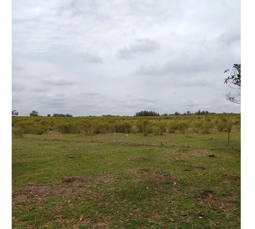 Vendo Muy Lindo Campo De 11 Has, Casa, Monte, Tajamar, Zona Tranquila Consulte