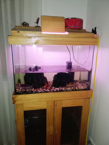 Mueble De Pecera + Pecera Y Accesorios (350 Soles) (Usado)