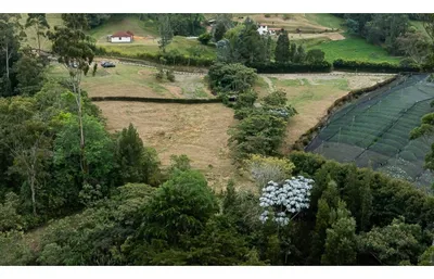 Lote y casalote en venta