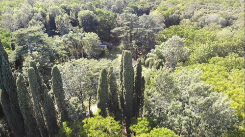Imagen 30 de 30 de Oportunidad Financiada! Casa De Campo Estilo Inglés En San José!
