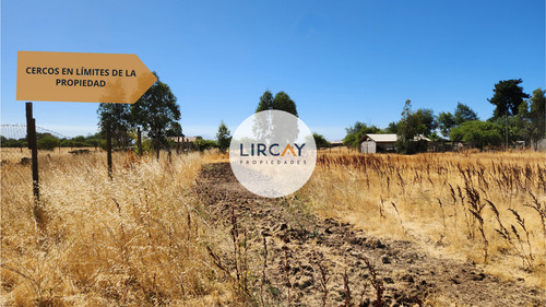 En Venta Terreno De 7 Hectáreas, Talca, Panguilemu.