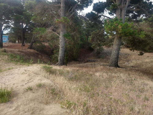 Terreno En Venta En Las Gaviotas