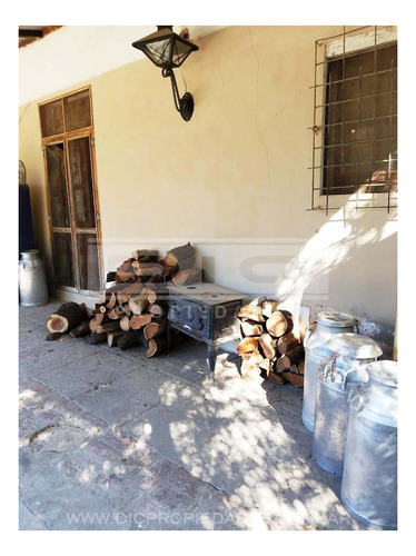 Imagen 7 de 29 de Casa 6 Ambientes En Campo De 3 Hectareas Piscina Quincho En Victoria Prov. De Entre Rios