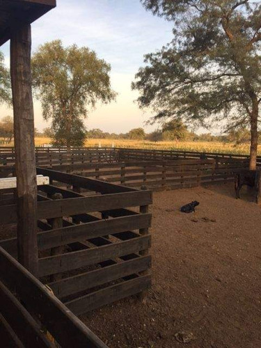 Imagen 14 de 18 de Venta Campo En Santiago Del Estero, Norte De Monte Quemado