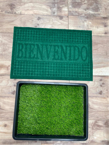 Tapete + Recipiente Desinfectante - Unidad a $33900