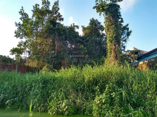 Imagem 1 de 2 de Terreno - Venda - Campos Eliseos - Itanhaem - Ita2980