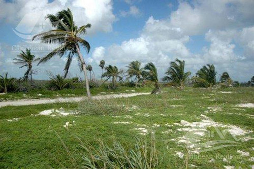Imagen 2 de 6 de Terreno En Venta En Mahahual