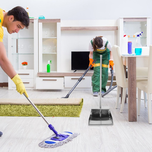 Recogedor De Polvo Para Limpieza Del Hogar, Recogedor De Pol