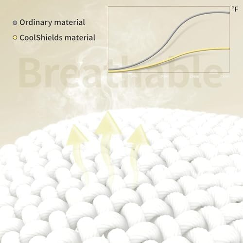 Protector De Almohada Impermeable Con Cremallera (paquete De
