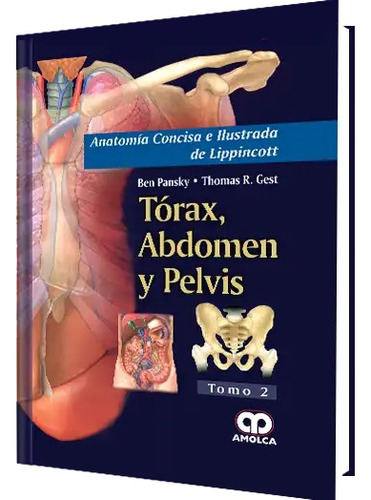 Anatomía Concisa E Ilustrada De Lippincott Tórax, Abdomen Y 