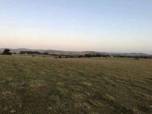 Chacras De 5 Hectareas Sobre Ruta 12