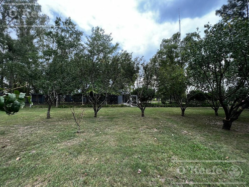 Imagen 28 de 30 de Chacra En Venta De 17 Has En San Andres De Giles. Excelente Casco
